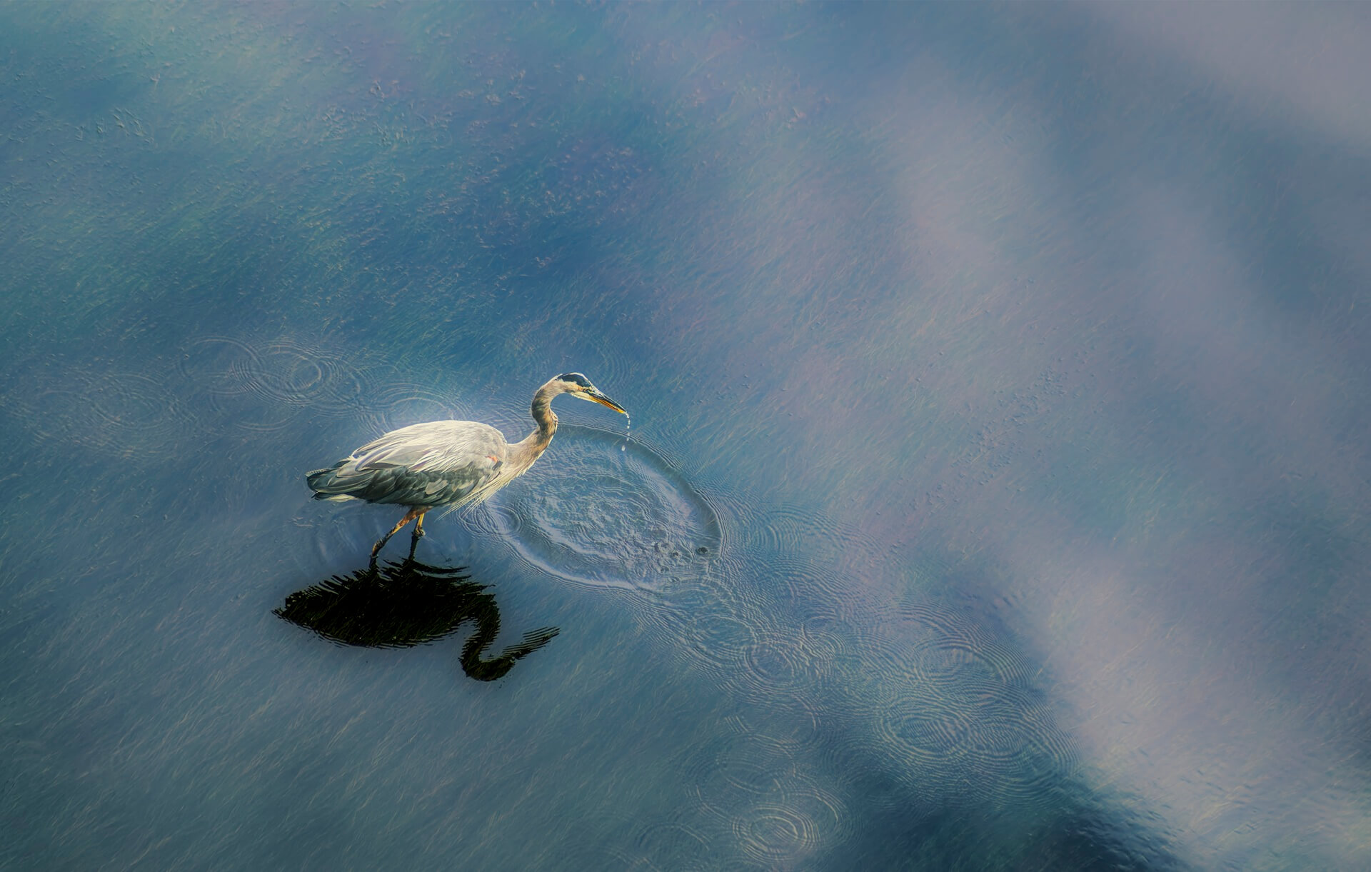 2025.07.16-A-Mindful-Moment-22X14